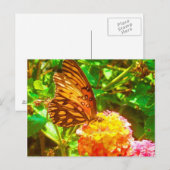 Papillon (vlinder) briefkaart (Voorkant / Achterkant)