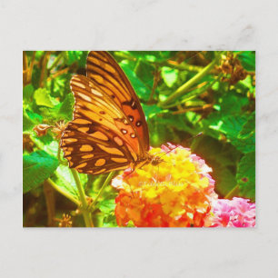 Papillon (vlinder) briefkaart