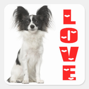 Papillon Zwart-wit Puppy Dog - Liefde Puppies Vierkante Sticker