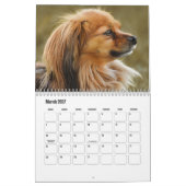 Papillonkalender Kalender (Mar 2027)
