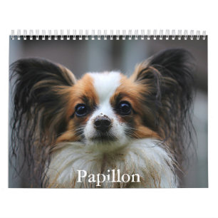 Papillonkalender Kalender