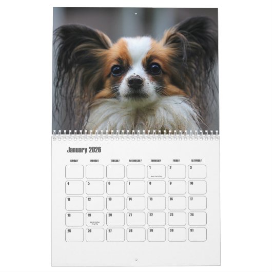 Papillonkalender Kalender (Jan 2026)