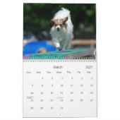 Papillons Agility Wall Agenda Kalender (Mar 2027)