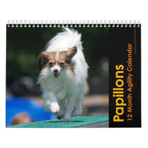 Papillons Agility Wall Agenda Kalender