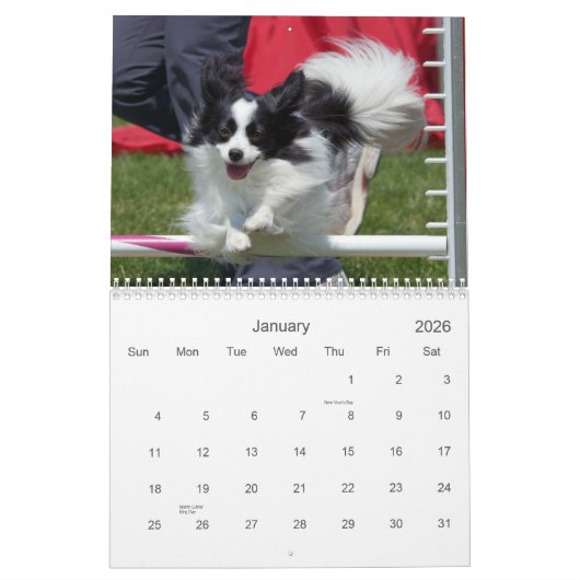Papillons Agility Wall Agenda Kalender (Jan 2026)
