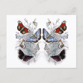 papillons briefkaart