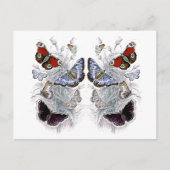 papillons briefkaart (Voorkant)