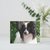 Papillons Briefkaart (Staand voorkant)