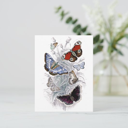 papillons briefkaart (Staand voorkant)