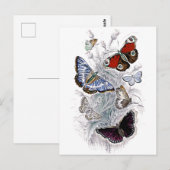 papillons briefkaart (Voorkant / Achterkant)