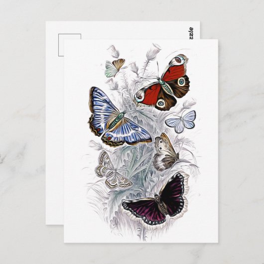 papillons briefkaart (Voorkant / Achterkant)