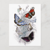 papillons briefkaart (Voorkant)