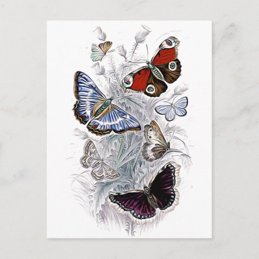 papillons briefkaart (Voorkant)