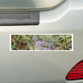 Papillons Bumpersticker (Op auto)