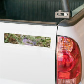 Papillons Bumpersticker (Op Truck)