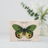 Papillons  Butterfly Illustratie Briefkaart (Staand voorkant)