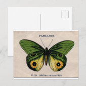 Papillons  Butterfly Illustratie Briefkaart (Voorkant / Achterkant)