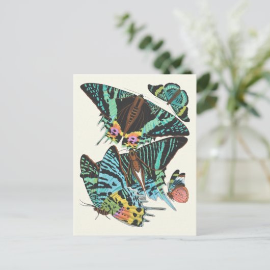 Papillons | Emile-Allain Séguy Briefkaart (Staand voorkant)