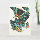 Papillons | Emile-Allain Séguy Kaart (Voorkant)