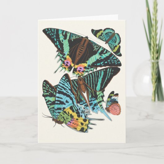 Papillons | Emile-Allain Séguy Kaart (Voorkant)