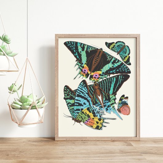 Papillons | Emile-Allain Séguy Poster