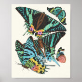 Papillons | Emile-Allain Séguy Poster (Voorkant)