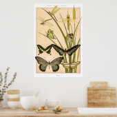 Papillons & libellen door Maurice Verneuil Poster (Keuken)