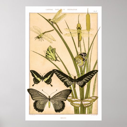 Papillons & libellen door Maurice Verneuil Poster (Voorkant)