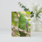 Papoea-Nieuw-Guinea, provincie Oro 2 Briefkaart (Staand voorkant)