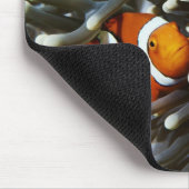 Papoea-Nieuw-Guinea, twee valse namaakanemonieten Muismat (Hoek)