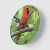 Pappa Singing! Ronde Klok (Hoek)