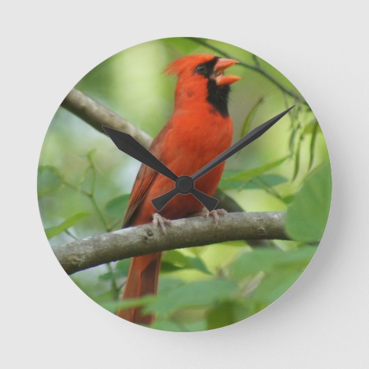 Pappa Singing! Ronde Klok (Voorkant)