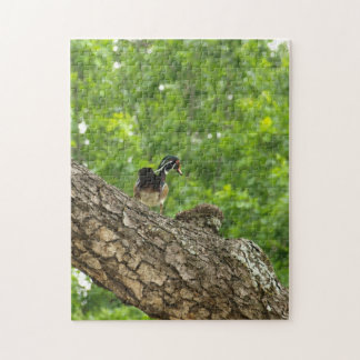 Pappa Woodduck Legpuzzel