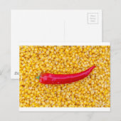 Paprika op maïs briefkaart (Voorkant / Achterkant)