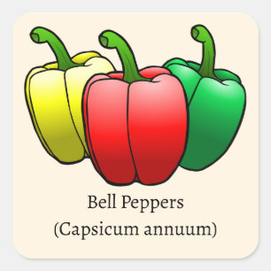 Paprika's Vierkante Sticker