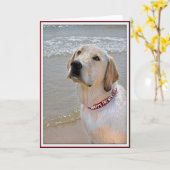 Pap's Dog Kaart (Gele Bloem)