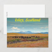 Paps van Jura uit de Islay, Schotland (Voorkant / Achterkant)