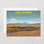 Paps van Jura uit de Islay, Schotland Briefkaart (Voorkant / Achterkant)