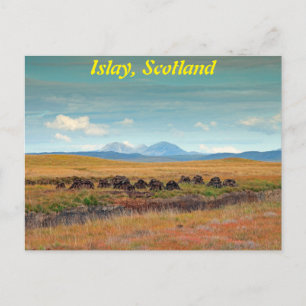 Paps van Jura uit de Islay, Schotland Briefkaart