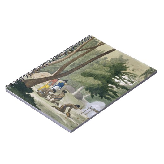 Papu-stam op het eiland Rawak, bord 20 van Le Notitieboek (Linkerzijde)