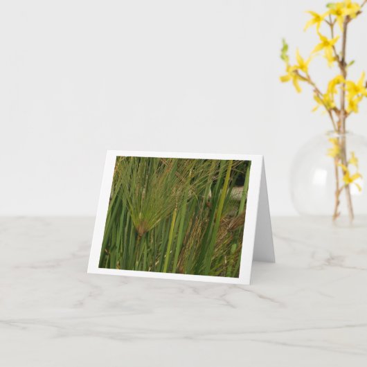 Papyrus Kaart (Gele Bloem)