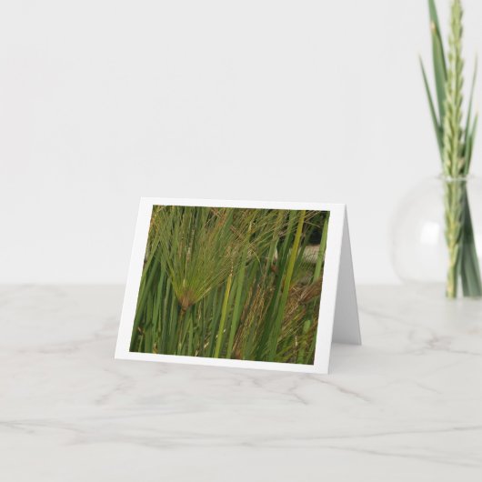 Papyrus Kaart (Voorkant)