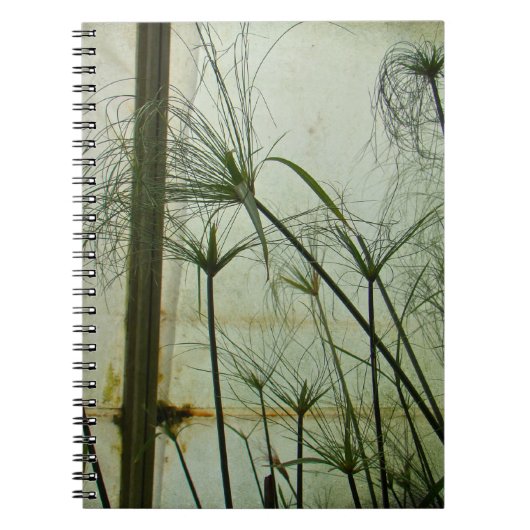 Papyrus Notitieboek (Voorkant)