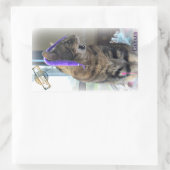 PAR Caesar-Sticker Rechthoekige Sticker (Tas)