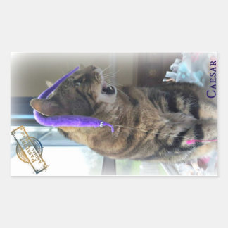 PAR Caesar-Sticker Rechthoekige Sticker