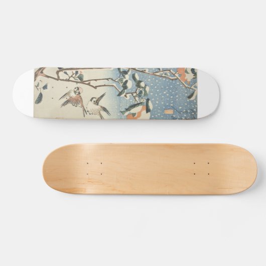 Par de Golondrinas Volando durante el Invierno Persoonlijk Skateboard (Horizontaal)