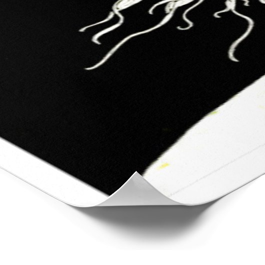 Para-Todos waterverf afdrukken Poster (Hoek)