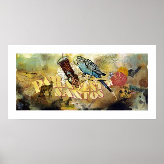 Para Vestir Santos Poster (Voorkant)