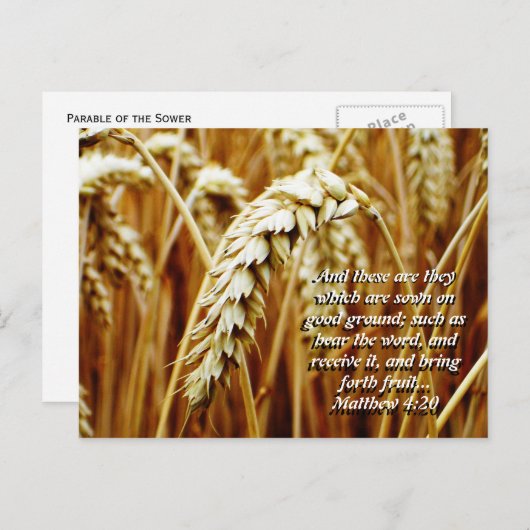 Parable of the Sower Briefkaart (Voorkant / Achterkant)