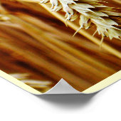 Parable of the Sower Poster (Hoek)